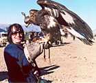 Adventurous Traveler with hunting eagle on a tour to Mongolia