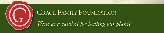 Link to Grace Family Foundation